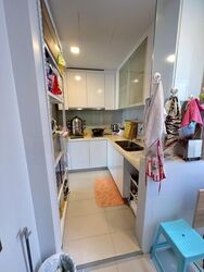 Rhapsody On Mount Elizabeth (D9), Apartment #458864251